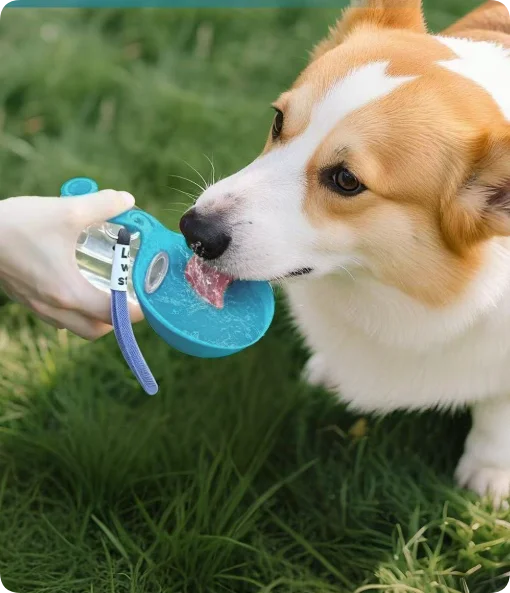 Portable Dog Water Bottle with Foldable Bowl – 285ml Travel Bottle