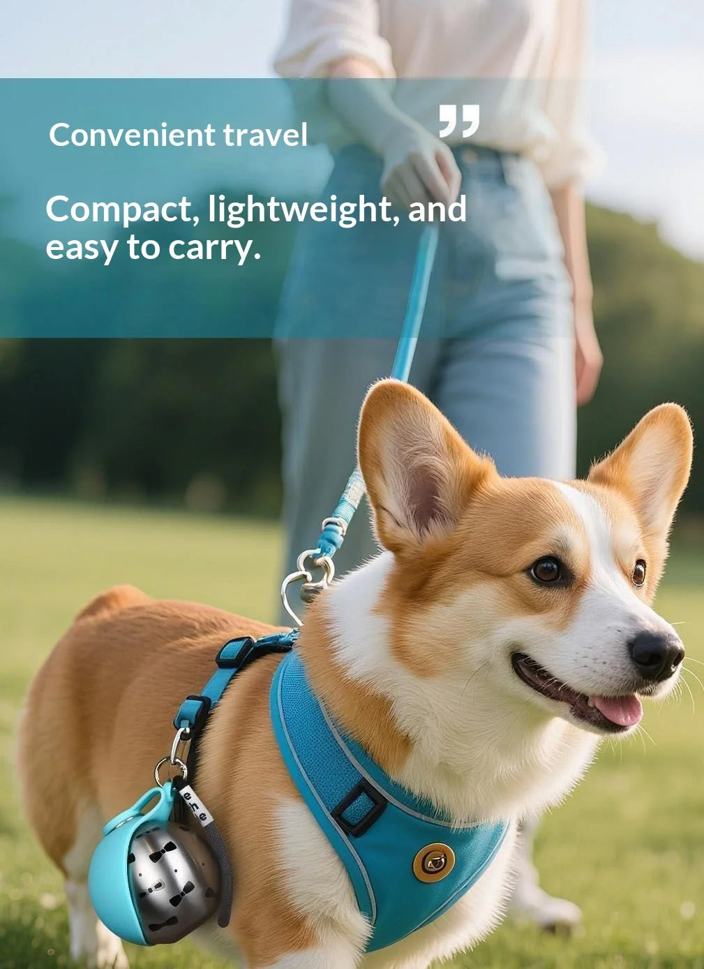 Portable Dog Water Bottle with Foldable Bowl – 285ml Travel Bottle