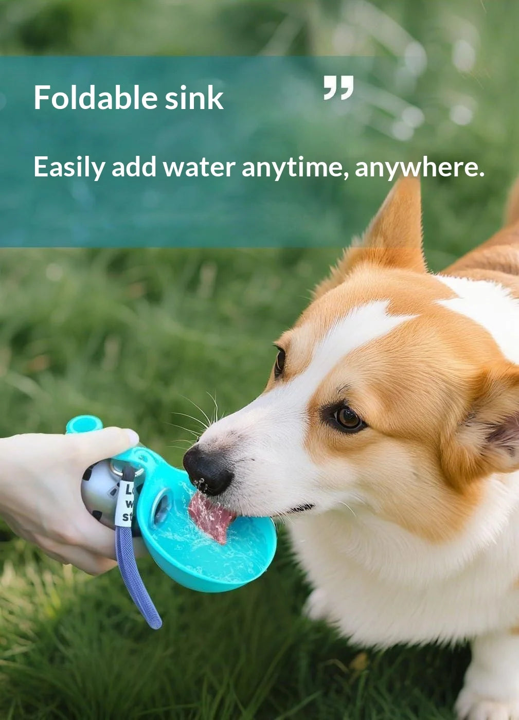 Portable Dog Water Bottle with Foldable Bowl – 285ml Travel Bottle